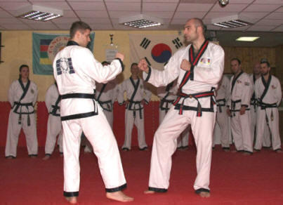 Which one of these KARATE styles is best?
