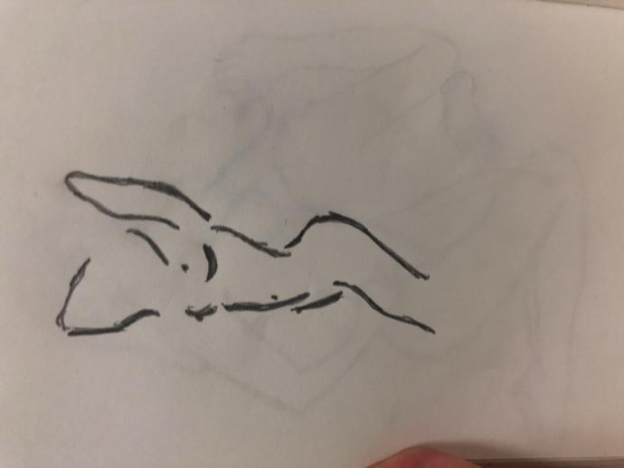 What do you think of these sketches/doodles?