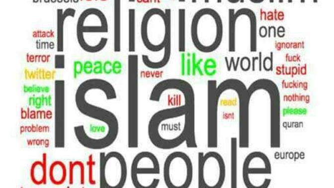 Thoughts on Islamophobia?