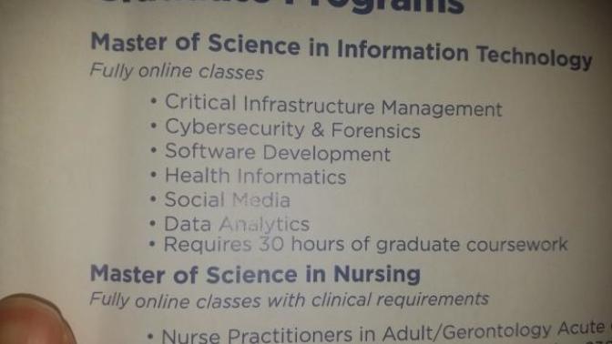 I'm considering going into an MSIT program. What should be my 2nd concentration?