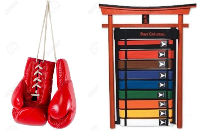 Which is more IMPRESSIVE, being a BLACK BELT in KARATE or being a HIGHLY SKILLED BOXER?