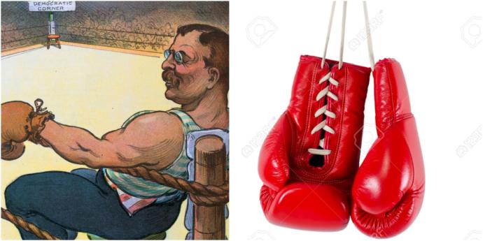 Which is more IMPRESSIVE, being a BLACK BELT in KARATE or being a HIGHLY SKILLED BOXER?