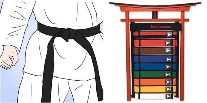 Which is more IMPRESSIVE, being a BLACK BELT in KARATE or being a HIGHLY SKILLED BOXER?