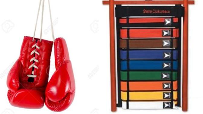 Which is more IMPRESSIVE, being a BLACK BELT in KARATE or being a HIGHLY SKILLED BOXER?