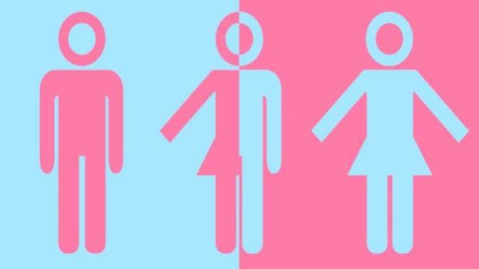 What do you think of having non-binary characters in a video game?