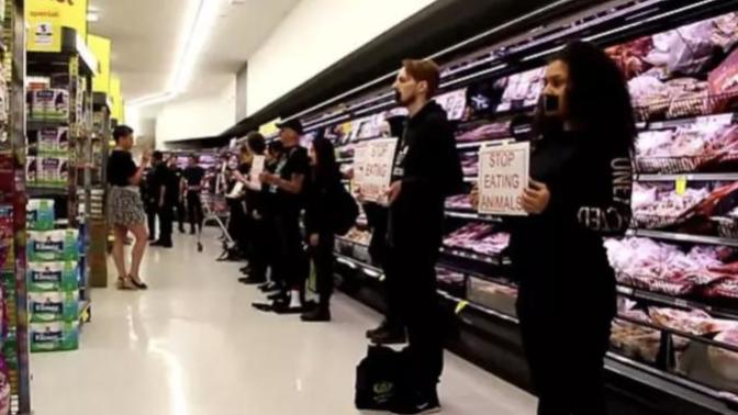What Are Your Thoughts On This: Vegan protesters clash with grocery store customers: 'Unless you're going to pay for my shopping, back off'?