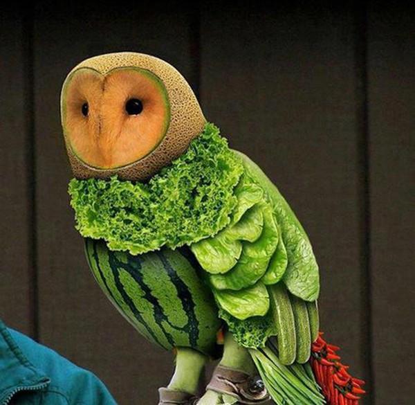 What's your favourite animal?
