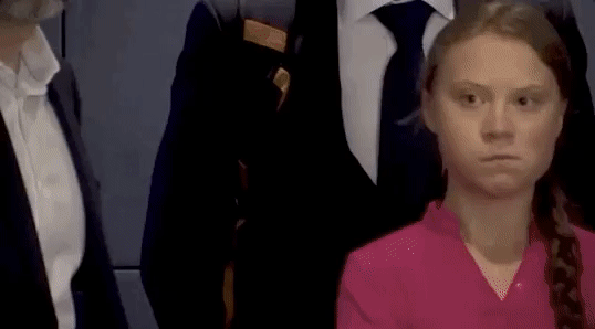 Is Greta Thunberg a Hero?