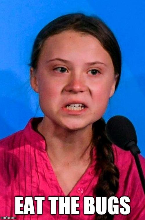 Is Greta Thunberg a Hero?