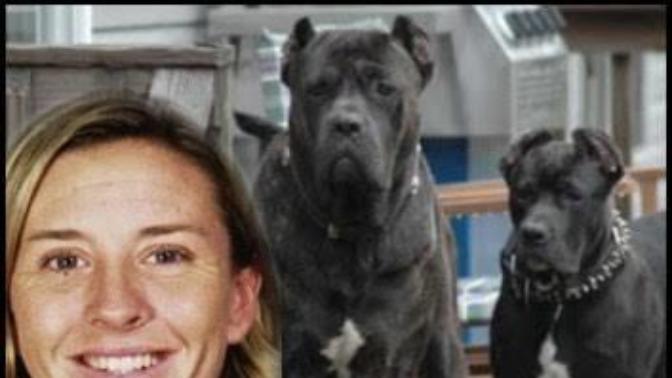 Should this dog breed get permanently banned too?