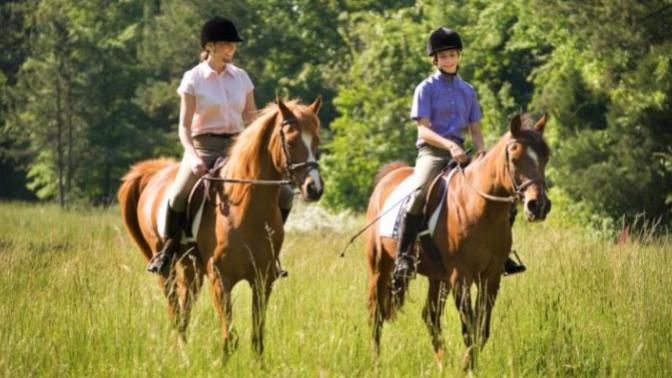 Is riding a horse SCARY?