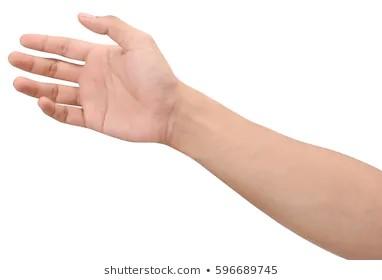 Women, Are You Attracted To Veiny Arms??