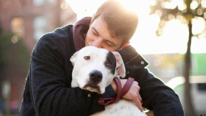 He said he would leave me over the dog. Wtf? Am I in the wrong here?