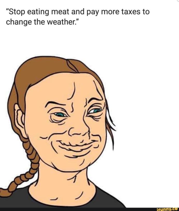 Do you agree with Greta Thunberg or do you think she's a political tool (or somewhere in between)?