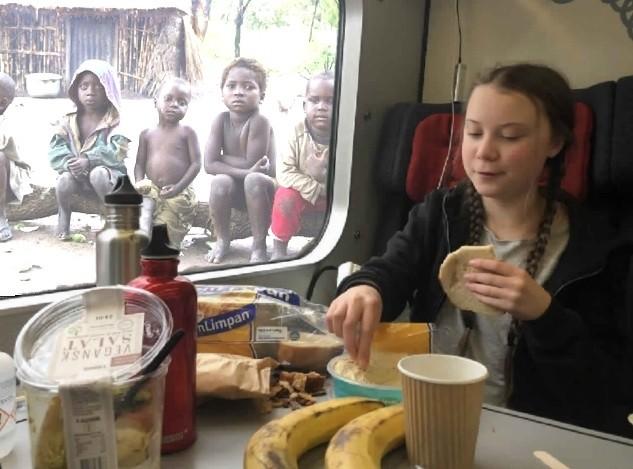 Do you agree with Greta Thunberg or do you think she's a political tool (or somewhere in between)?