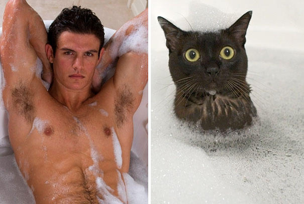 Ladies, what archetype of man do you like most?