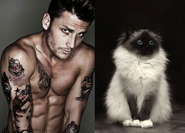 Ladies, what archetype of man do you like most?
