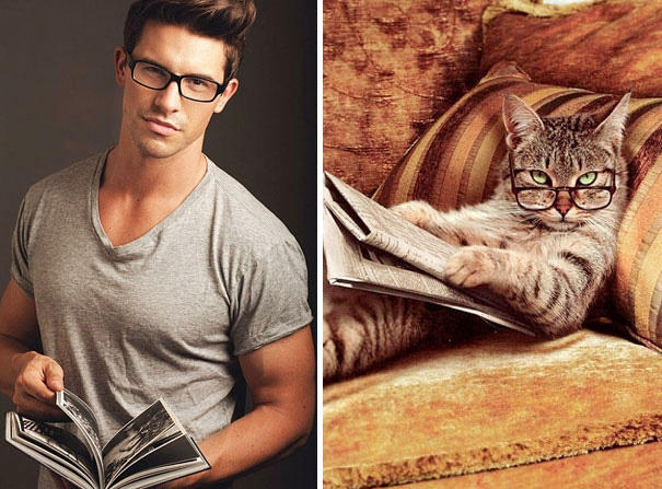 Ladies, what archetype of man do you like most?