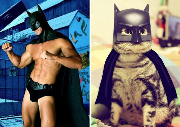 Ladies, what archetype of man do you like most?