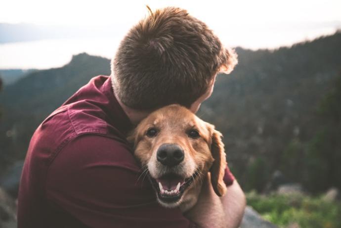For pet owners, do you wish your pet had your same lifespan?
