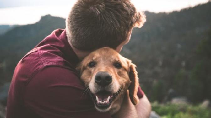 For pet owners, do you wish your pet had your same lifespan?