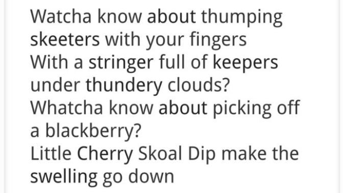 What the FUCK do these lyrics mean?