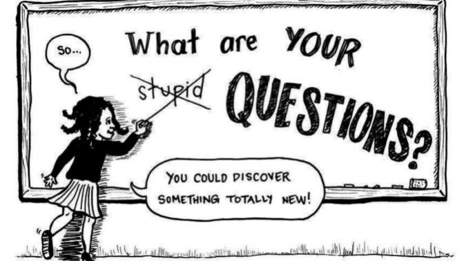 I have a stupid question for you... did you know that today was "Ask a Stupid Question Day"?