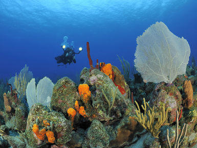 Would you like to visit the Dutch Caribbean island of Sint Eustatius (Statia)?