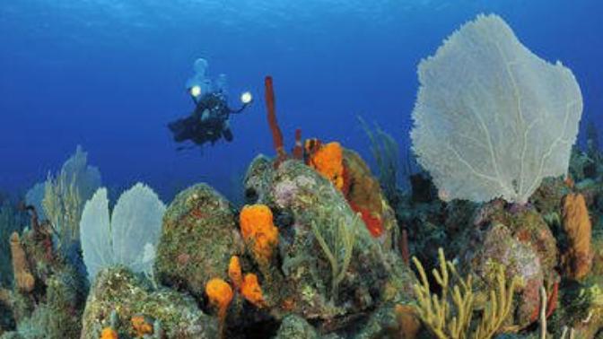 Would you like to visit the Dutch Caribbean island of Sint Eustatius (Statia)?