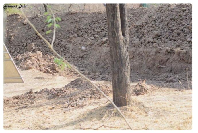 How quickly can you spot the leopard in this picture?