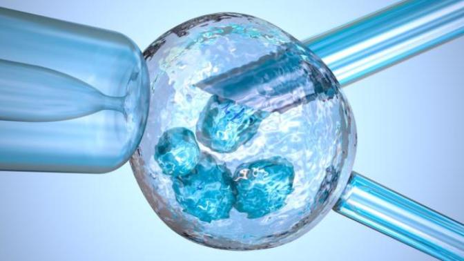 If you couldn't find the right guy by 35 or 40, would you consider having Invitro Fertilisation, Sperm Donation, or adoption?