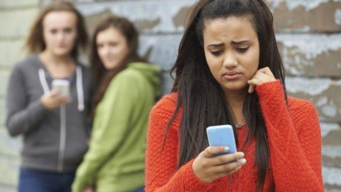 Have you ever been a perpetrator and or victim of cyber/online bullying?