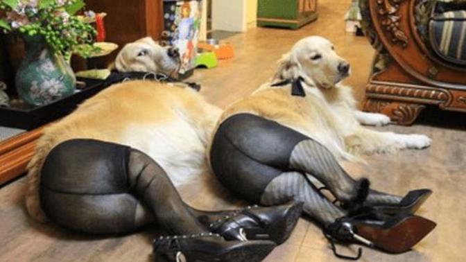 Are my Tinder dates hot?