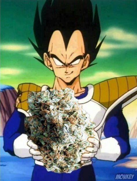 Do guys like getting flowers?
