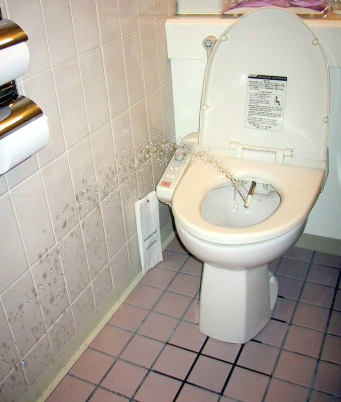 Would you ever use a bidet in a public restroom?