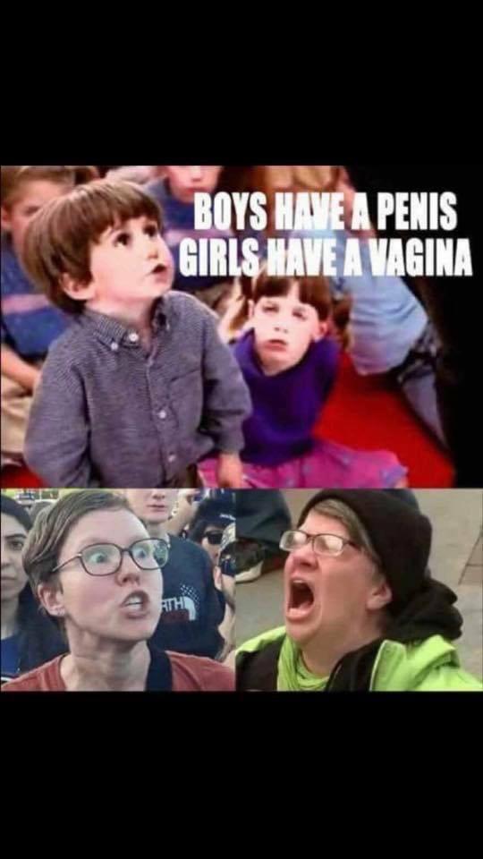 Do you think a child would like it if Santa brought a Body Positive (fat) Barbie?