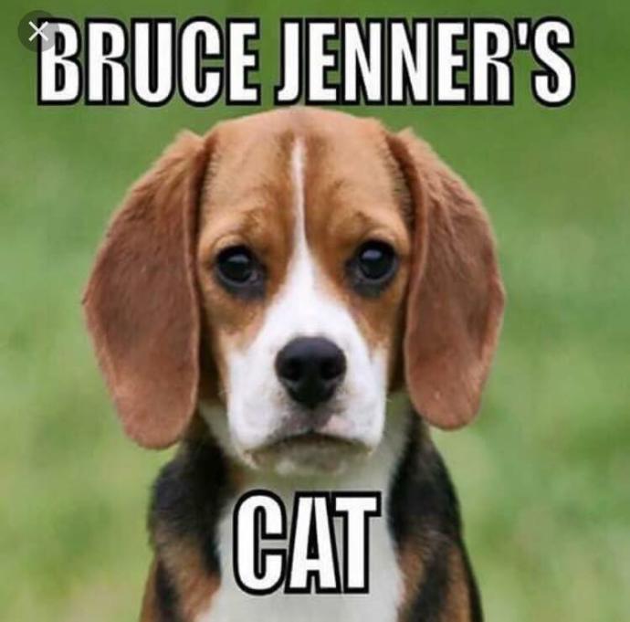 Do you think a child would like it if Santa brought a Body Positive (fat) Barbie?