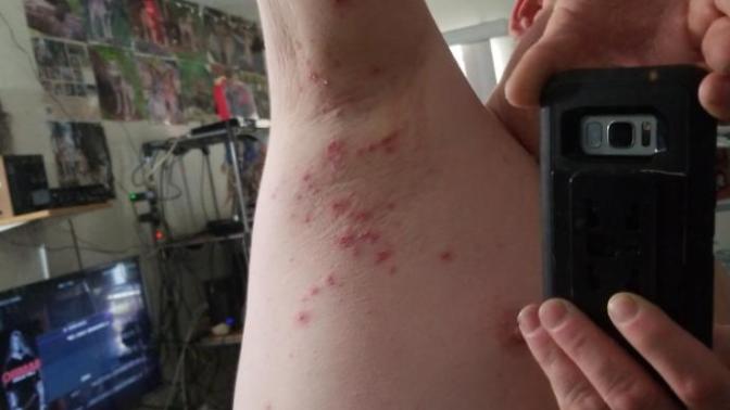 Anyone know what this is?