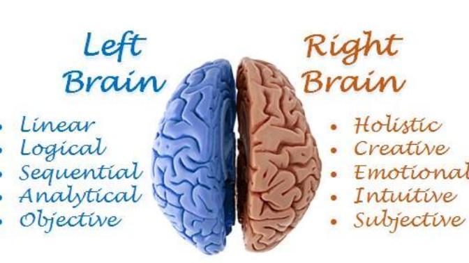 Are you left brain or right brain?