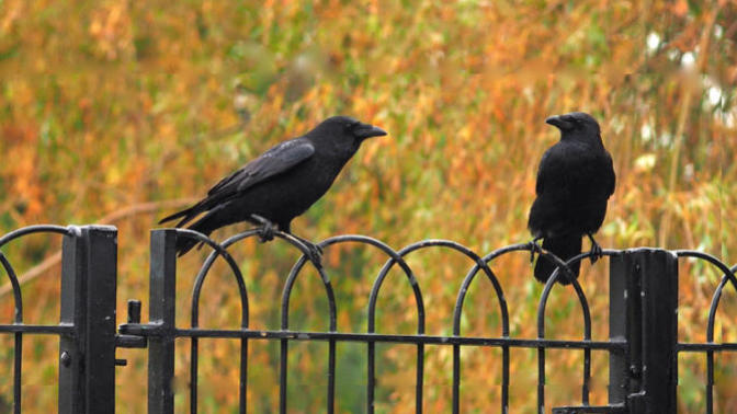 It's October. What do you think of this poem?