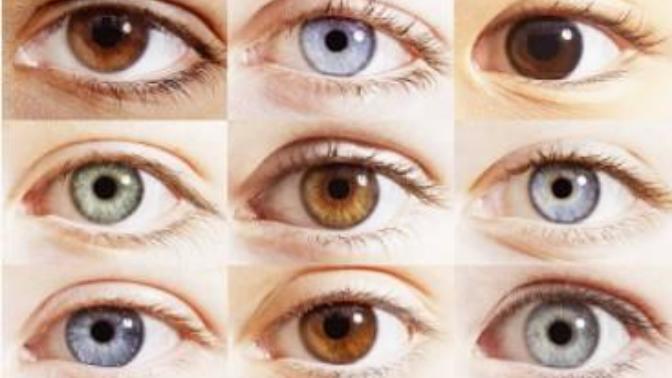 What color are your eyes?