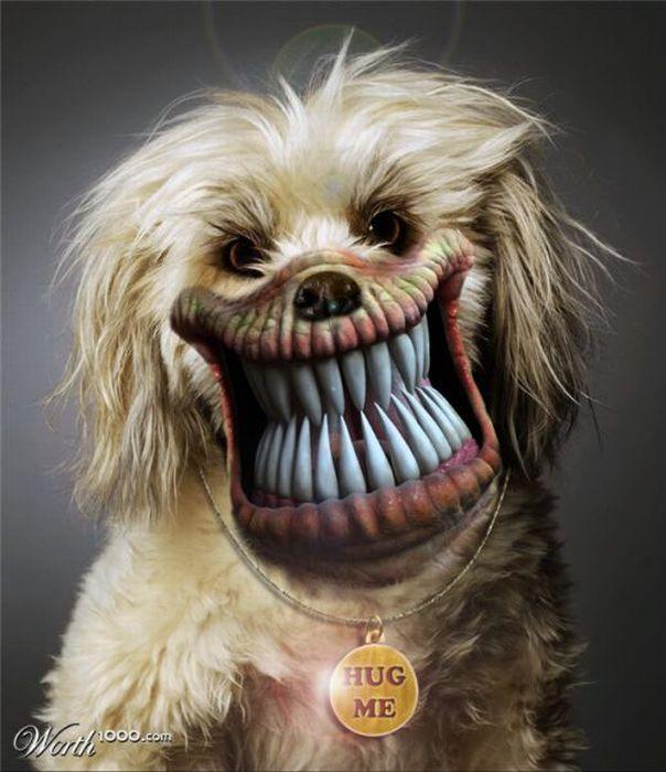 What animals are you the most scared of?