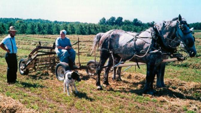 So would you like to live like the Amish or Mennonites?