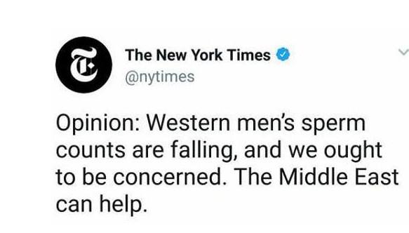 Do you think that Liberal media is anti-family and promotes degeneracy?