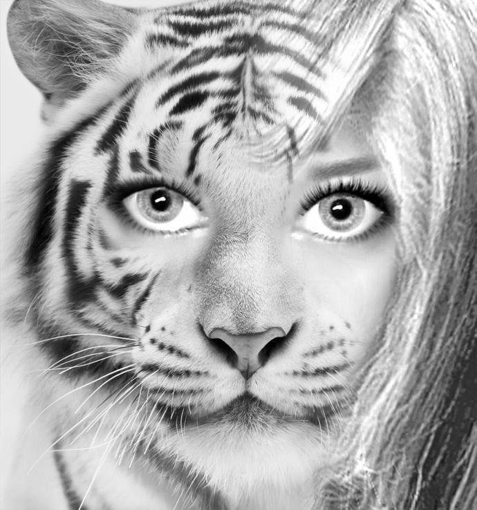 What kind of animal do you look like?