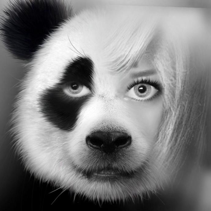 What kind of animal do you look like?