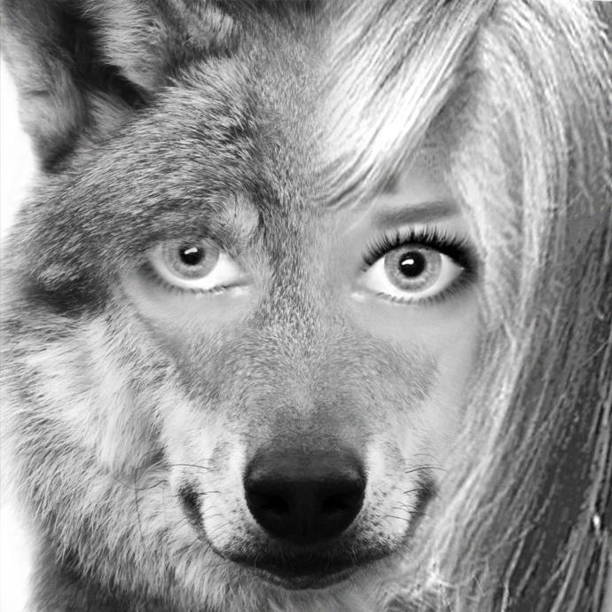 What kind of animal do you look like?