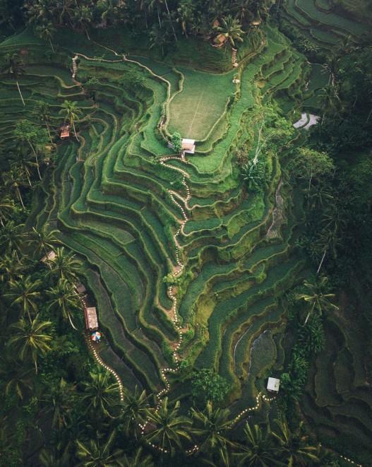 Would you like visit one of Bali's rice terraces?