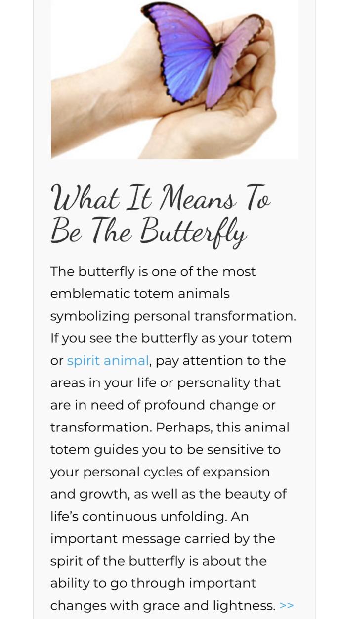 What is your spirit animal?