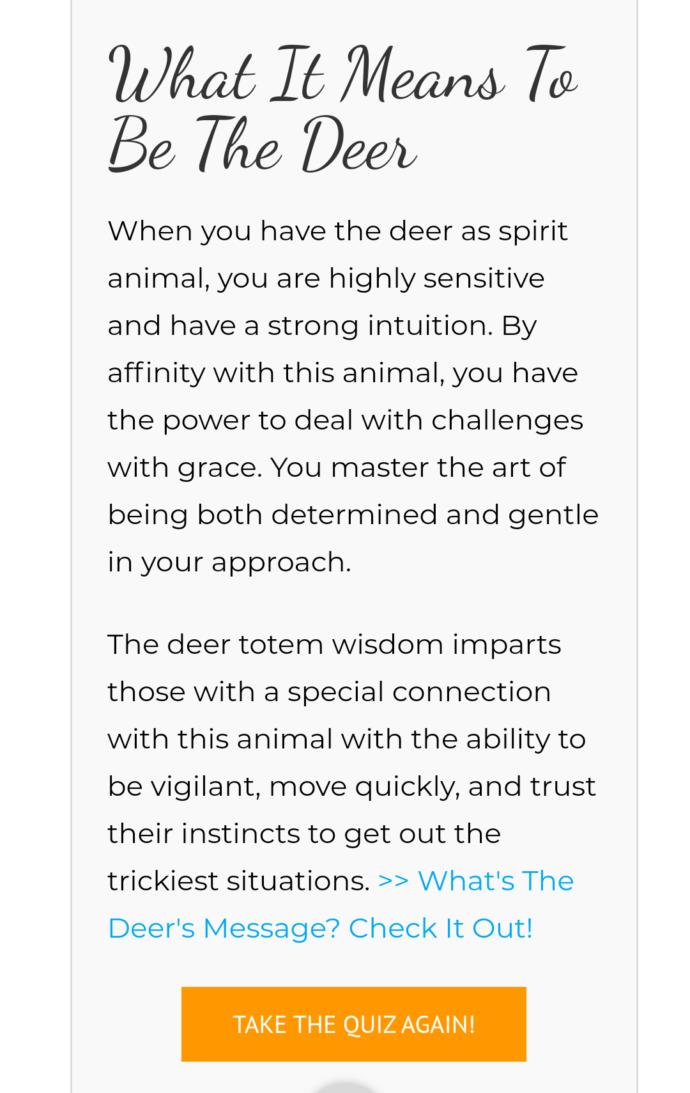 What is your spirit animal?